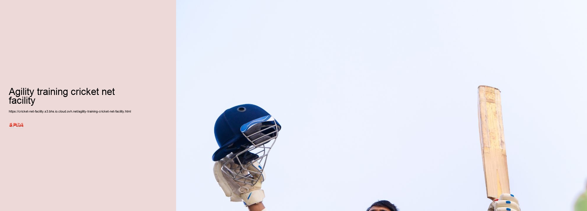 Agility training cricket net facility