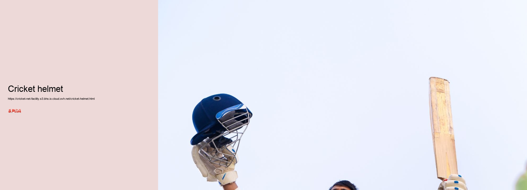 Cricket helmet