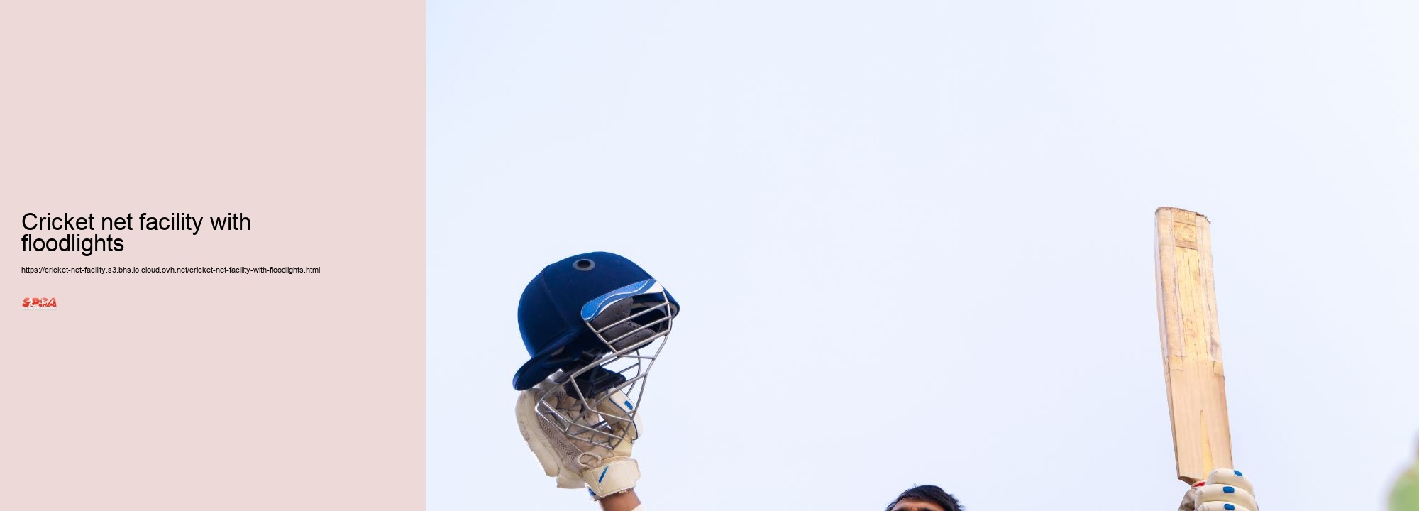 Cricket net facility with floodlights