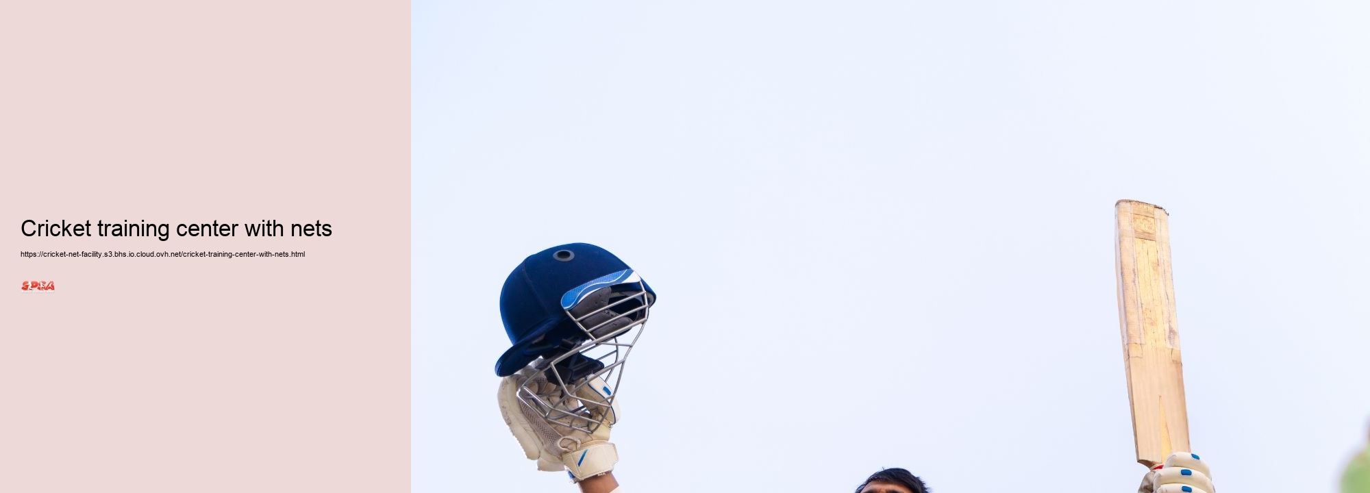 Cricket training center with nets