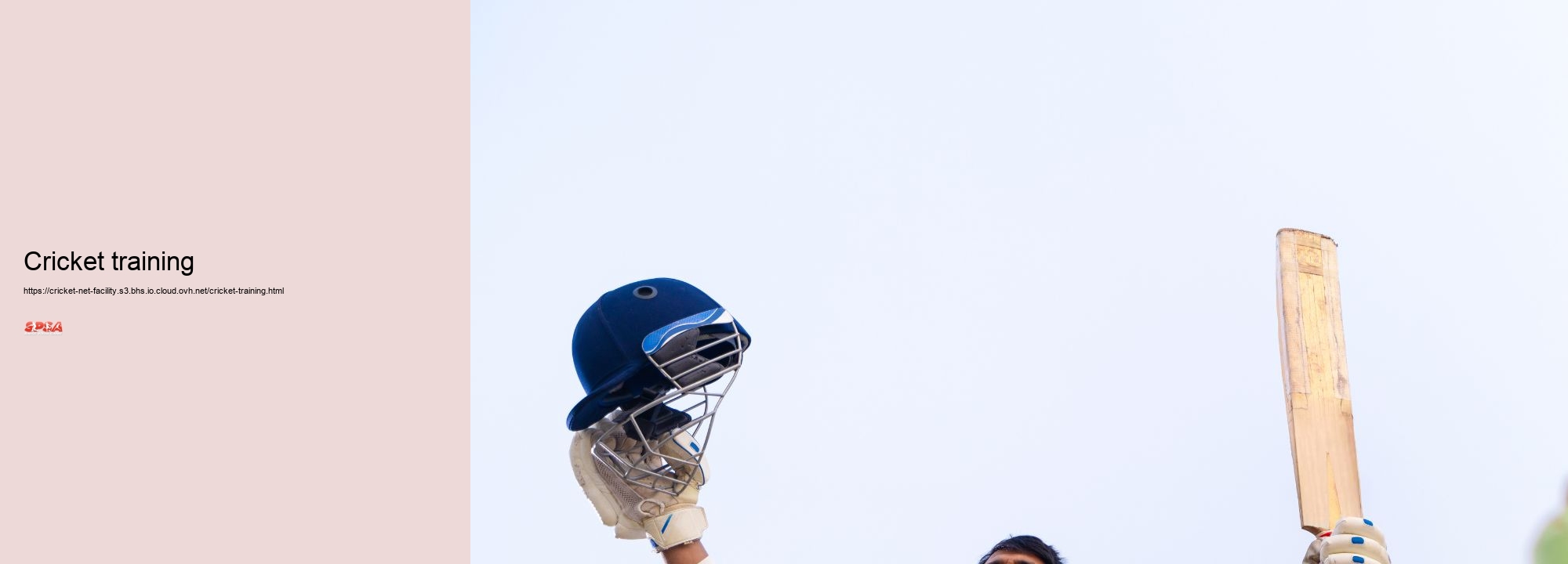 Cricket training